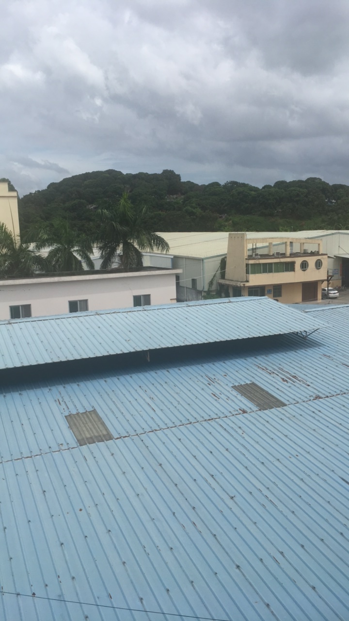想去对面躺平了，对面坟墓地昨天那几个老哥都没去上班，说谁过节跑路啊，住几天再说还88 / 作者:兜里有套别乱摸 / 