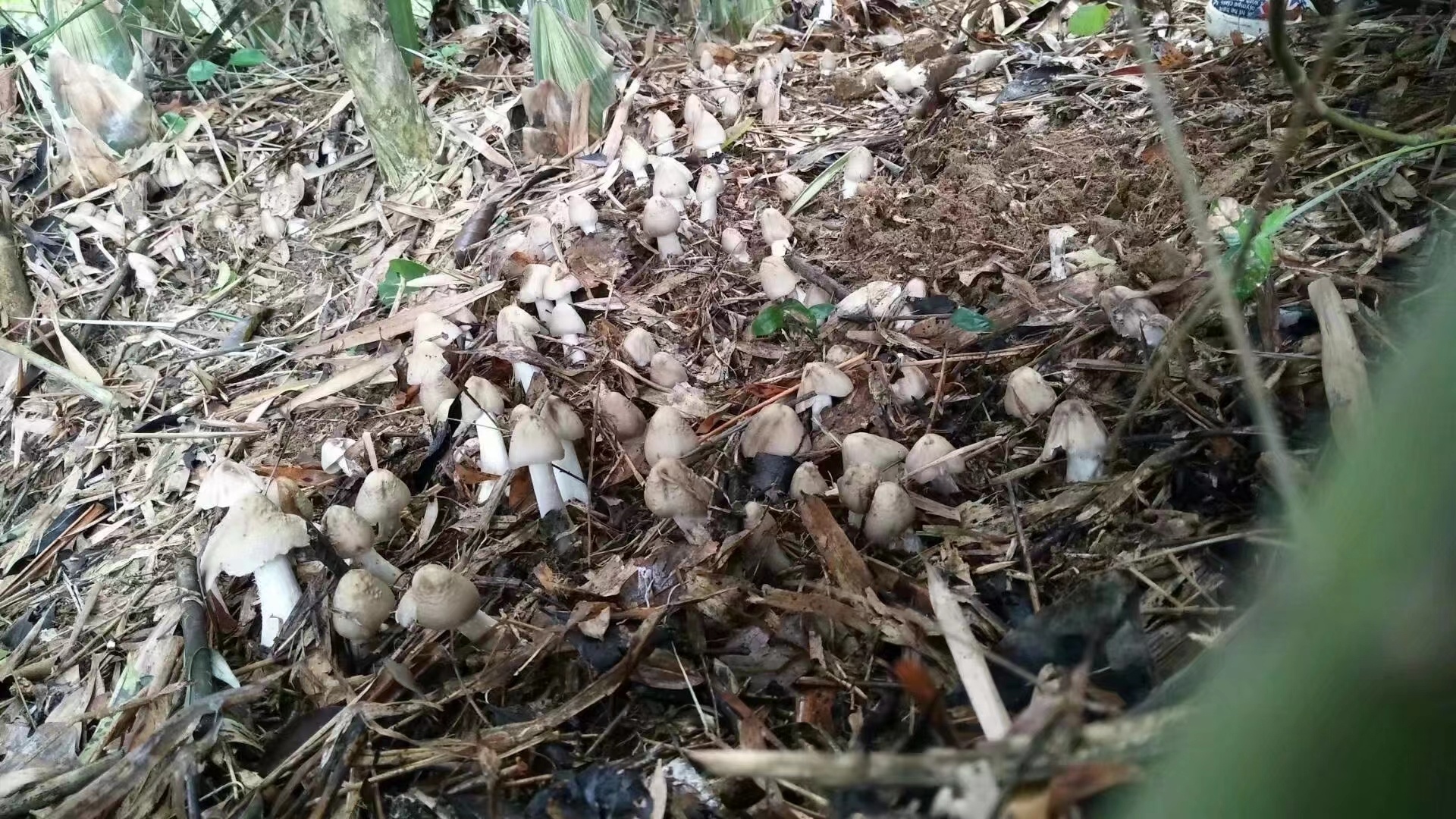 菜钱都省了

34 / 作者:模特以塞亚 / 