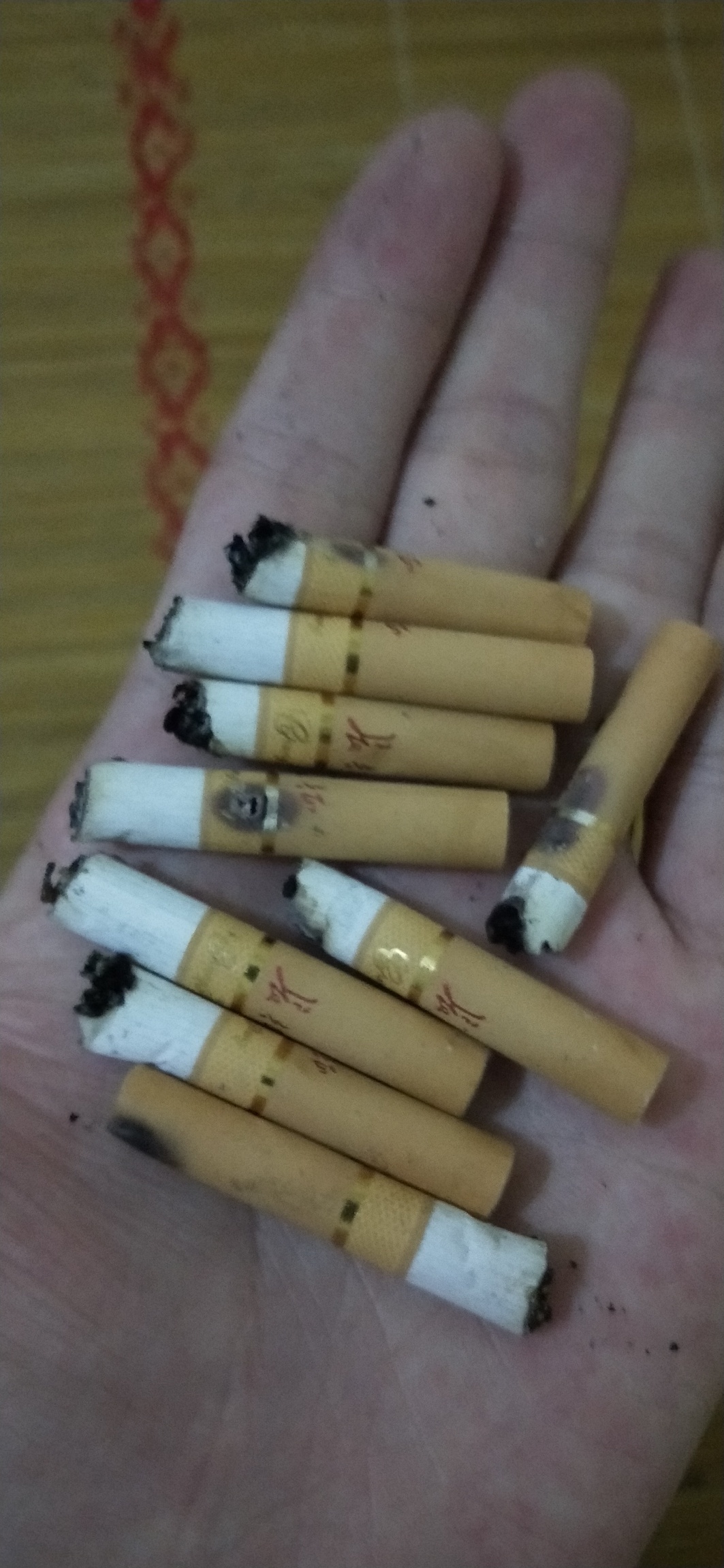 上羊毛，朕已经饥渴难耐了

40 / 作者:m五吧吧三妖妖二 / 