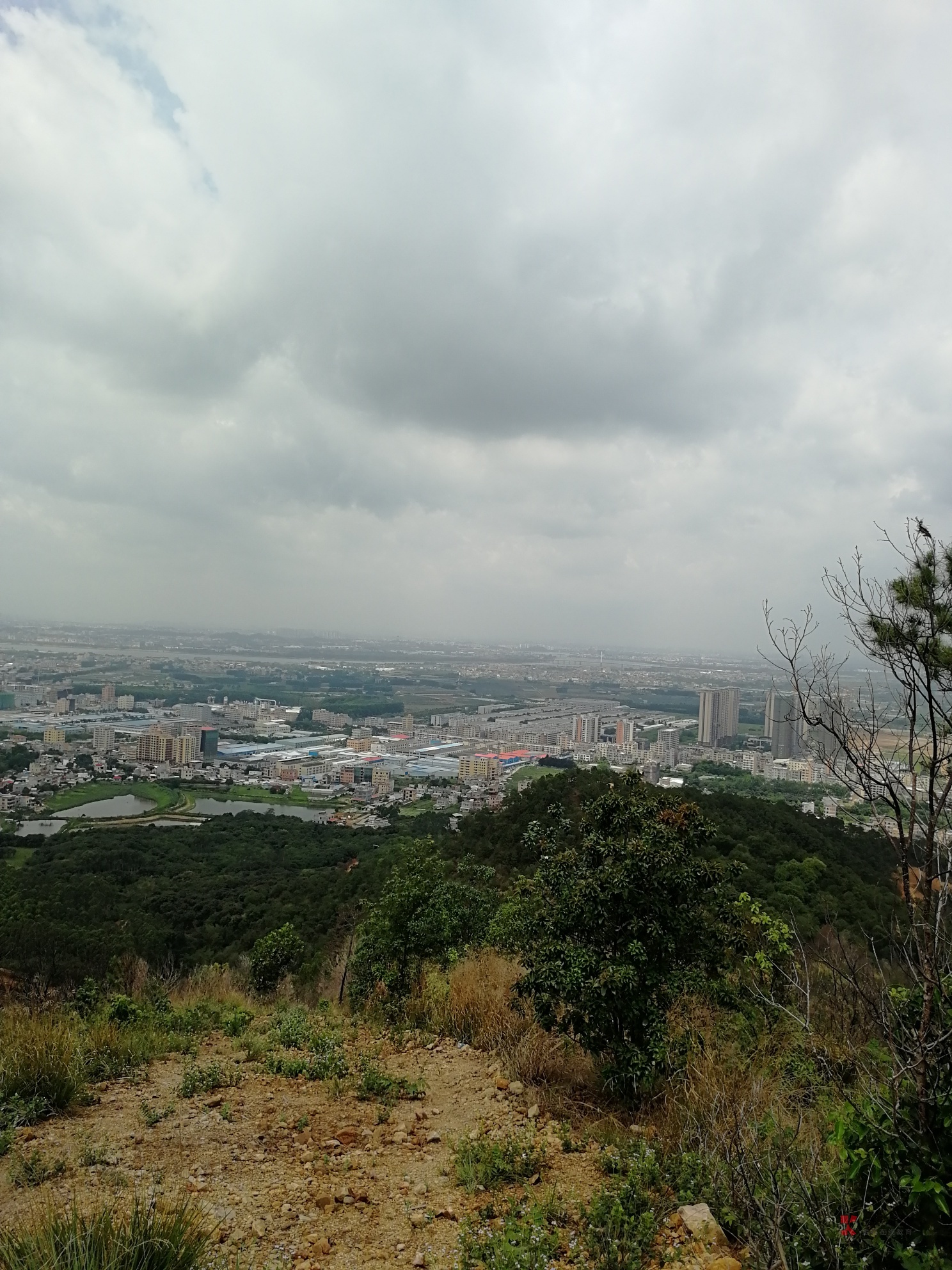 惠州空放介绍个