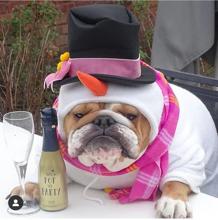 微享加谁能邀请下

93 / 作者:上岸路漫漫。。 / 