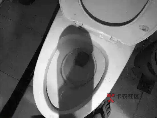 打卡挣花呗，老哥些发帖子就发帖子，尽发些不堪入目的图片，真是人心不古世态炎凉阿，60 / 作者:～旧时候 / 
