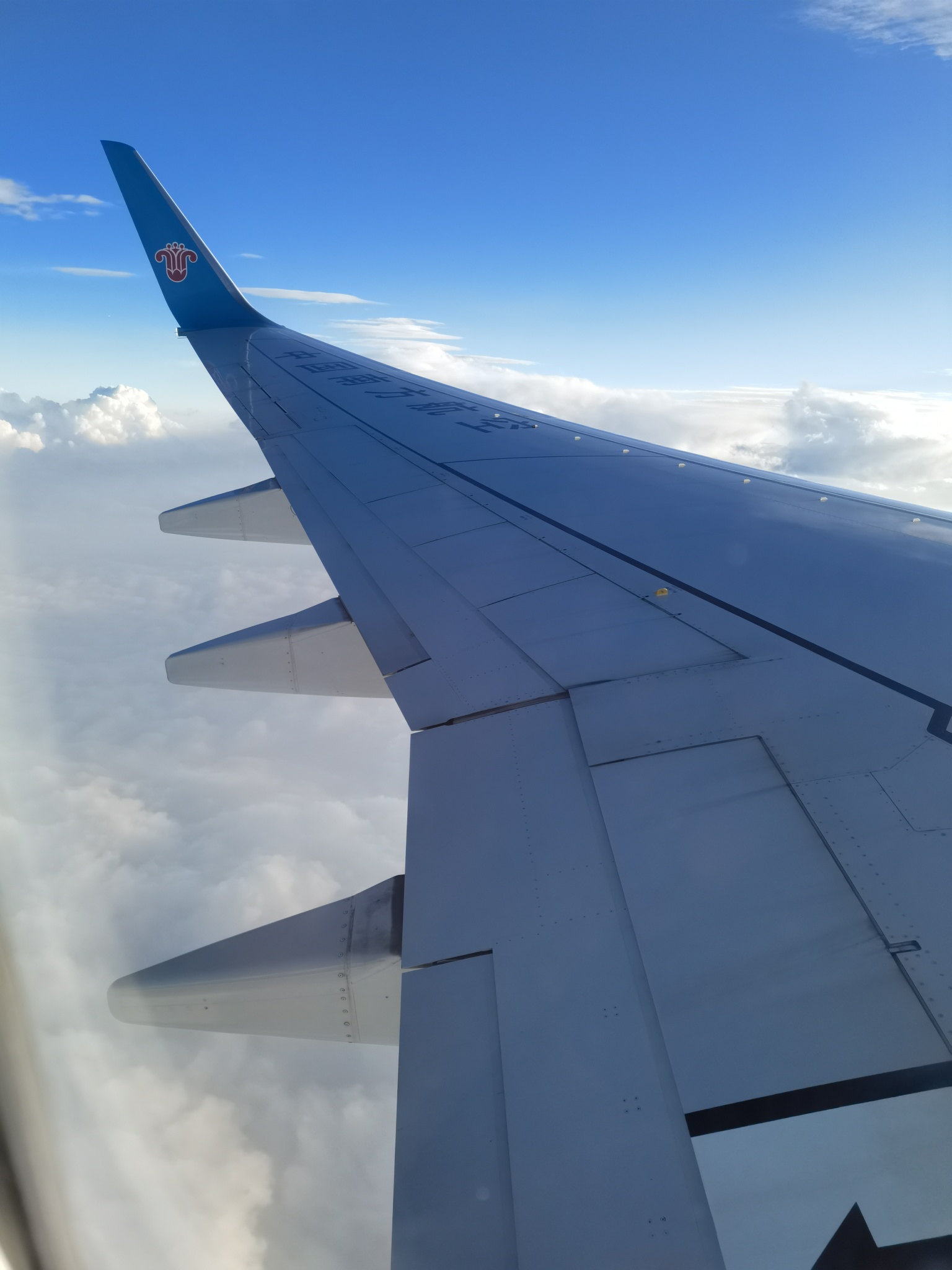 要坐飞机飞在天上图片的老哥我回复被删除了自己来取