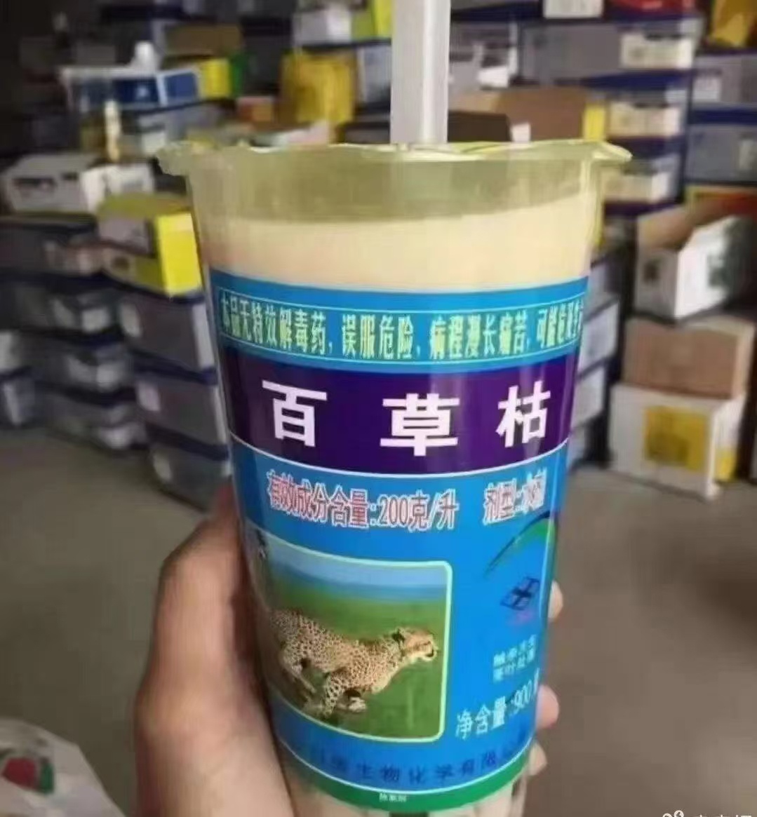 秋天的第一杯奶茶