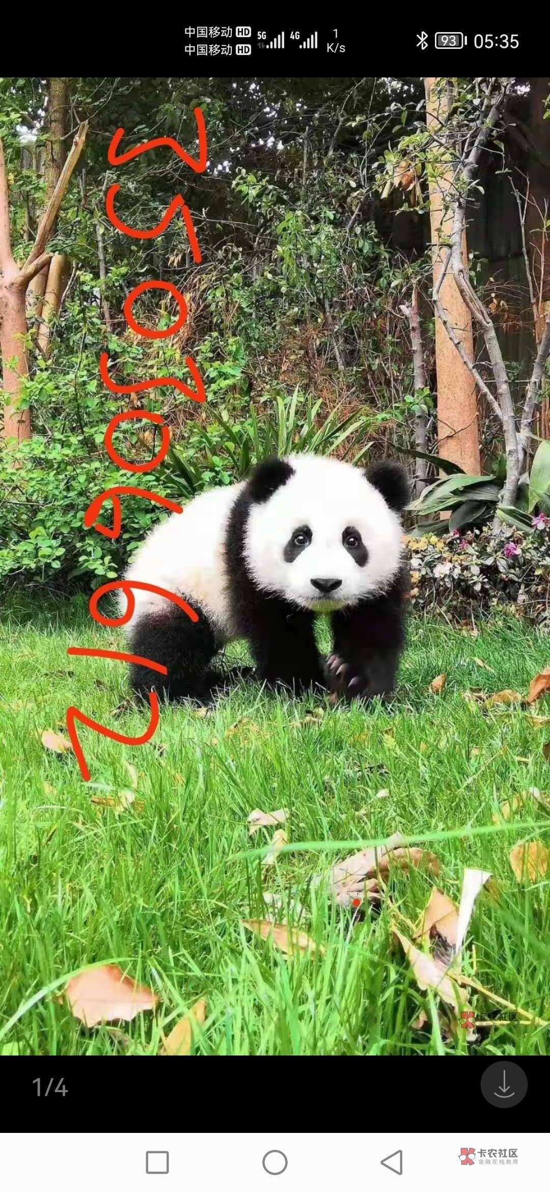 云闪付最近换绑或者注销在注册的，虚拟定位宁德领卷，我9毛收
68 / 作者:天亮了你好 / 