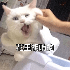 友谊车去申请邀人的结果下来了告我一声，我看看他们什么T路

39 / 作者:liuyu99934 / 