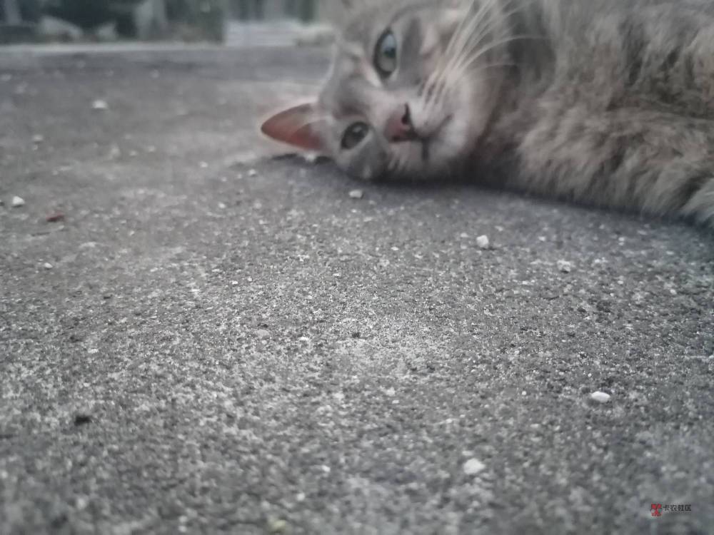 游云南 60  哪里能搞出来

90 / 作者:饿得浑身发抖 / 