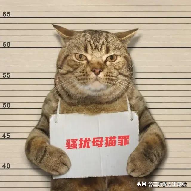 姣姣珠海抢的猫眼劵是多少面额

16 / 作者:时光行者 / 
