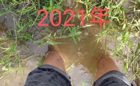 不平凡的走过了这么多年，回头看 回忆满满的






48 / 作者:、李先生ゝ / 