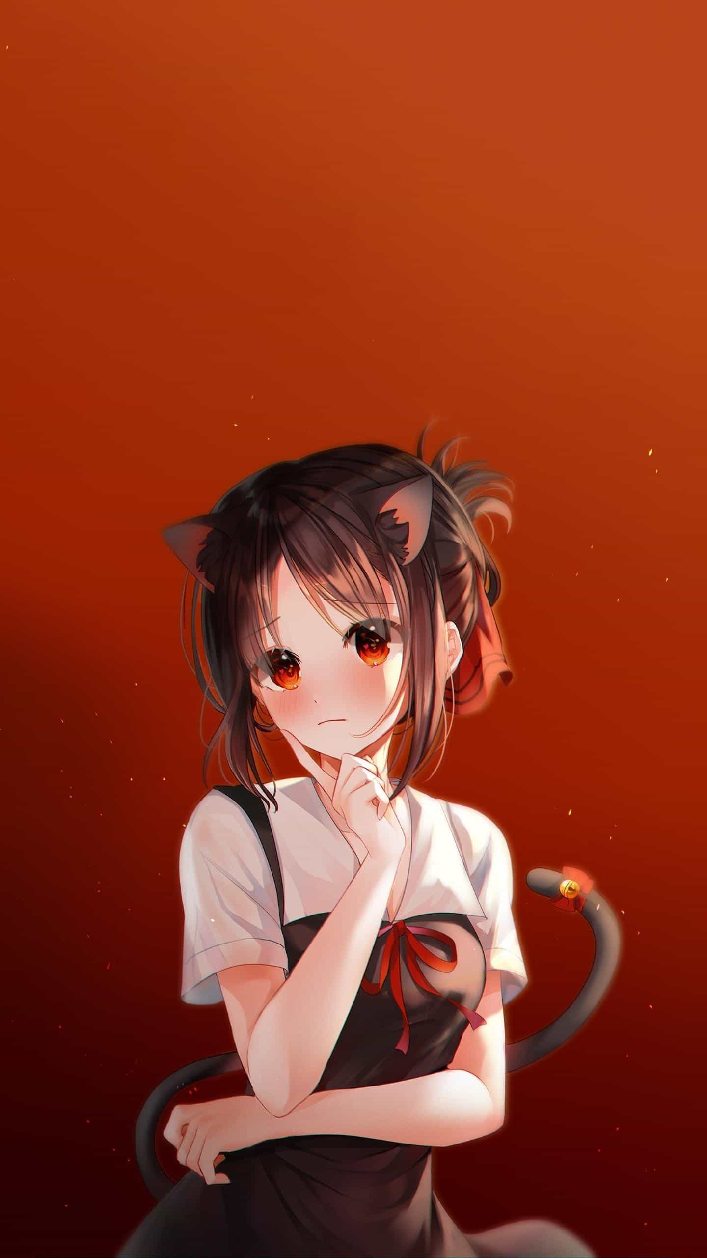 他么的，小云豹GC来了，申请三个到了一个1200，两个万年审……昨天到期，现在打电话来86 / 作者:二狗不是狗丶 / 