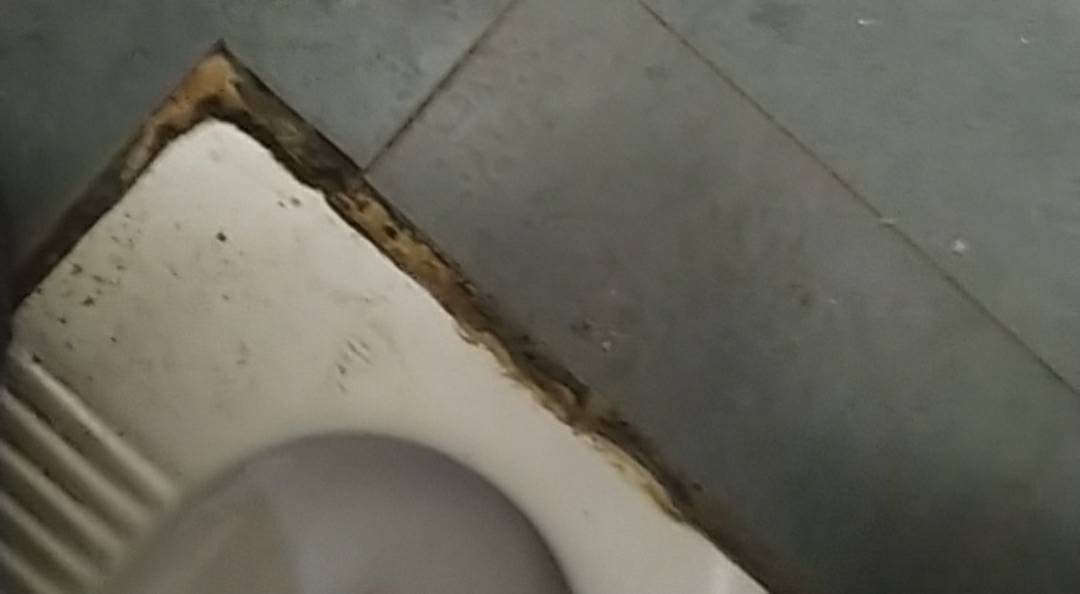 挂b房最后一天了我该何去何从

26 / 作者:单车变摩托523 / 