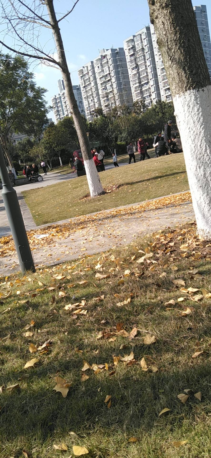 老哥们企业微信怎么找回来别人换绑了手机号，把我t了

83 / 作者:又输完了 / 