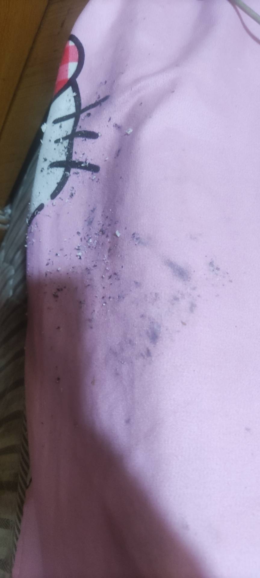 93年，男，24岁之前一直中规中矩，上学，读书，毕业后在一家施工单位工作，几年前母亲94 / 作者:天下之大何处家 / 