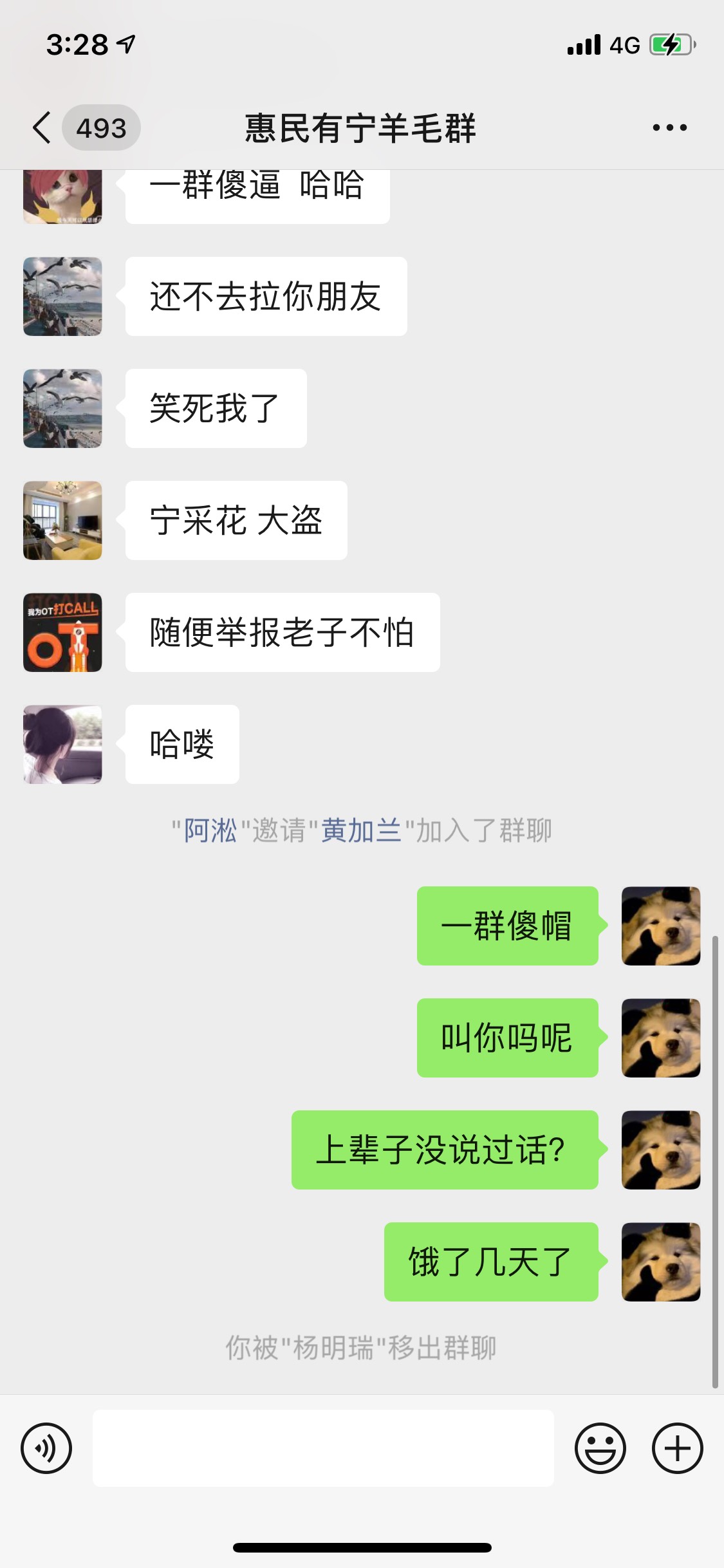 宁波是真有意思，搞个群聊拉人头，写着羊毛群，还说人恶意薅羊毛

24 / 作者:狗子q / 