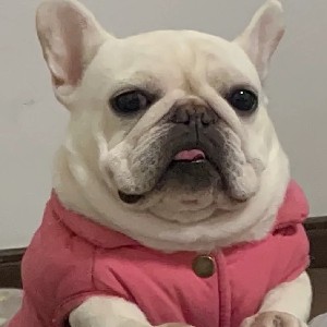 唯一想买个东西说我没有购买资格这个是什么情况老哥们知道嘛

43 / 作者:正经人.. / 