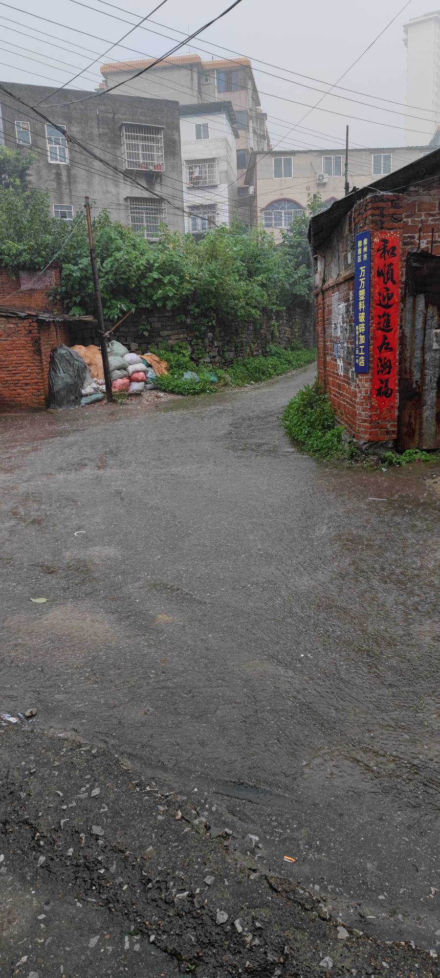 下好大的雨


68 / 作者:友坑 / 