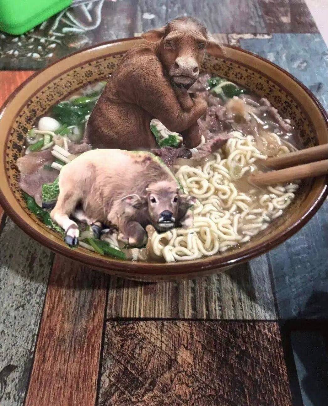 襄阳挂b面

14 / 作者:小白白又白ya / 