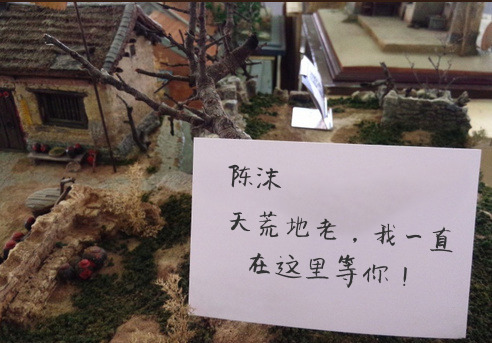 小沫，这些年我都不知道自己是怎么走过来的，或者说熬过来的，每天脑子里想的都是你，25 / 作者:紫羽秋月 / 