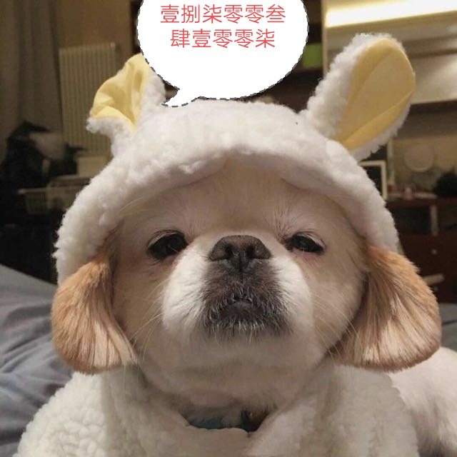 老哥们，谁有挣钱的快办法联系我，干啥都行！生活b得无路可走了，只能破罐子破摔

61 / 作者:契约 / 