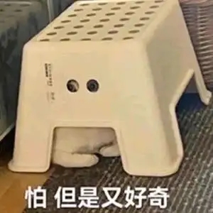 老哥们我出租了自己的微信小号，有我实名解除不了了之前实名注销了，晚上又实名上去了27 / 作者:好运暴富123 / 