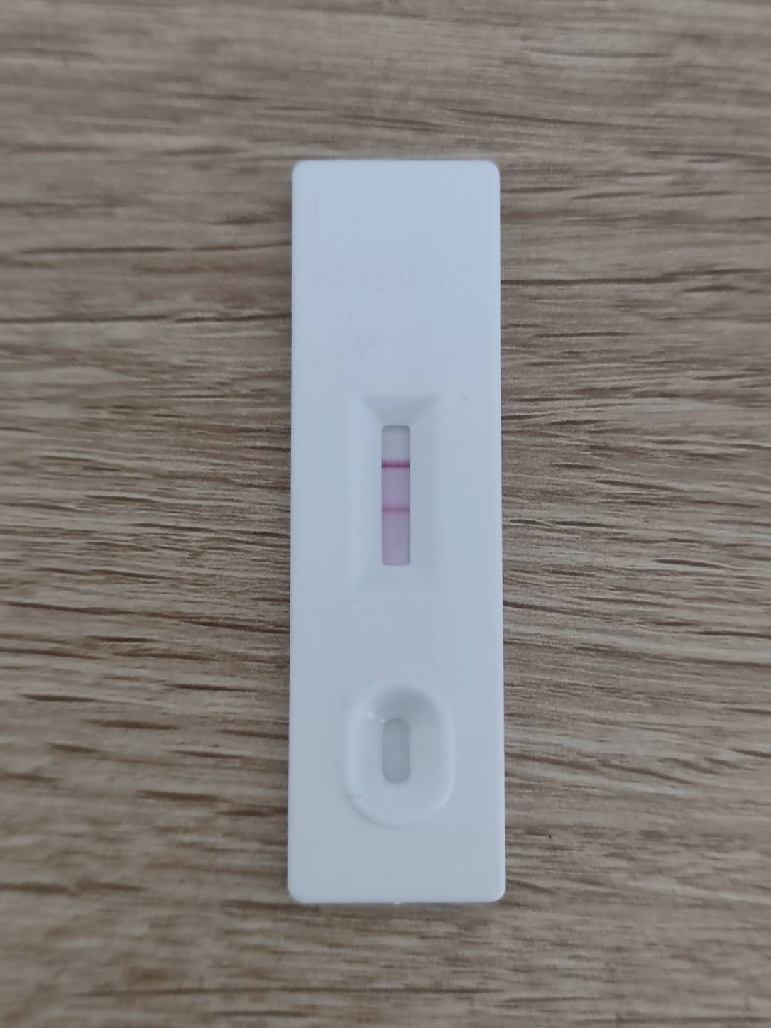 羊了个羊

90 / 作者:诸葛亮晶晶 / 