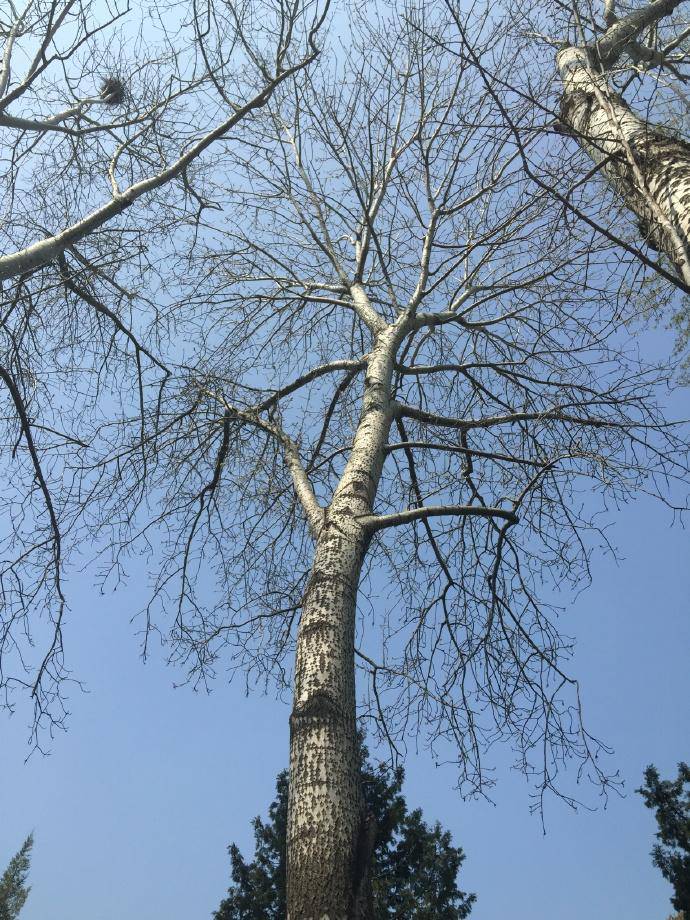 从昨天晚上到现在没吃饭没喝水现在在公园椅子上，真的走投无路了没办法了在这里跟老哥81 / 作者:不知曲中意 / 