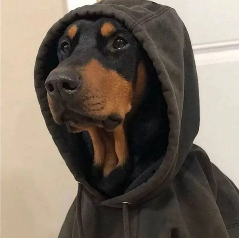 夜晚还有搬砖的老哥吗，出来打卡了

5 / 作者:宇宙之外 / 