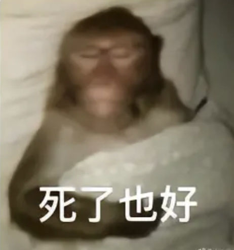 真几把人间惨剧，没想到这么  血的事情真被我碰到了，早上微信跟老表弹消息借1k一直没7 / 作者:泡不到马子的可怜虫 / 