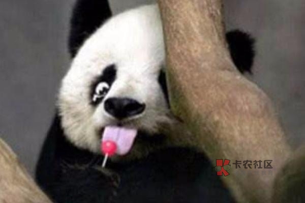 TQY退会员以及TQG退费,请教各位老哥~
七月份套路了就在论坛看各位老哥的攻略与TQG70 / 作者:7777777是我 / TQY退会员以及TQG退费,请教各位老哥~
七月份套路了就在论坛看各位老哥的攻略与TQG70 / 作者:7777777是我 /