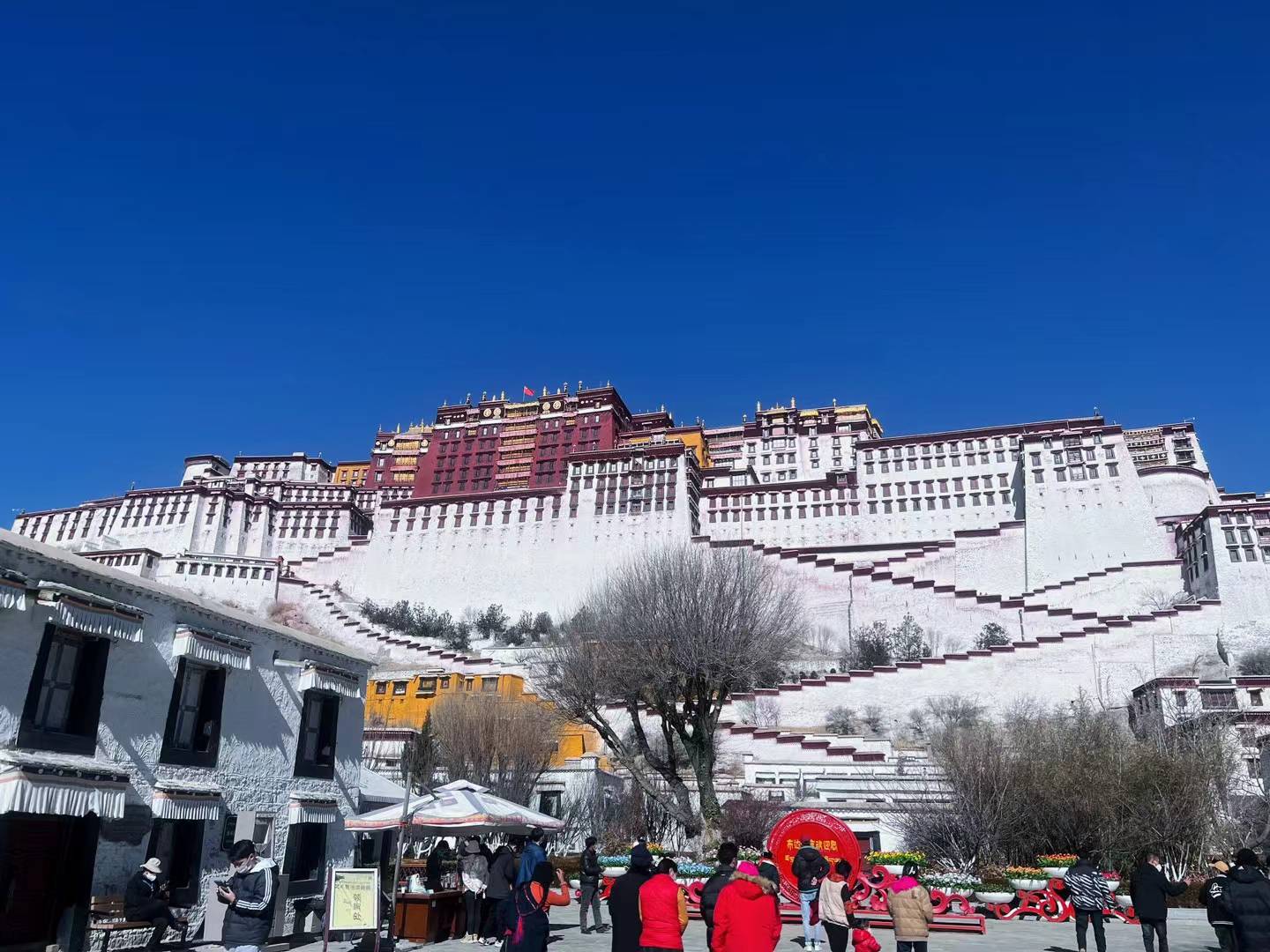 去年在藏A刚巧赶上疫情封城四个月，库房所有应季水果全部烂透透，从那后就没再开心过7 / 作者:粥粥包 / 