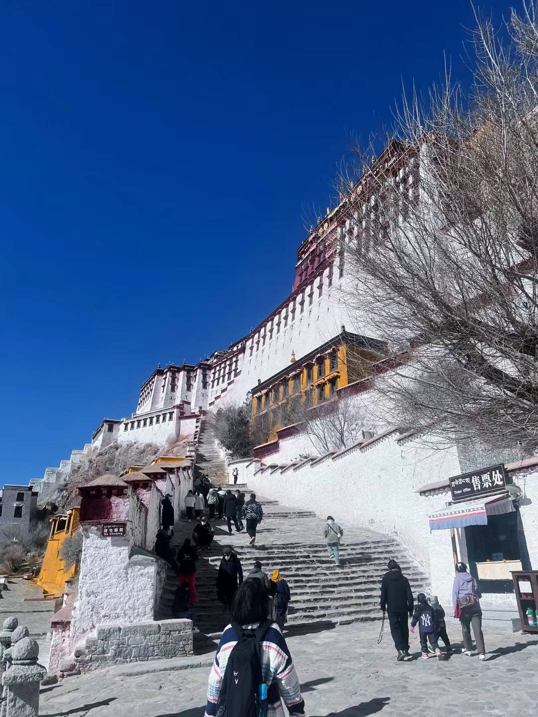 去年在藏A刚巧赶上疫情封城四个月，库房所有应季水果全部烂透透，从那后就没再开心过32 / 作者:粥粥包 / 