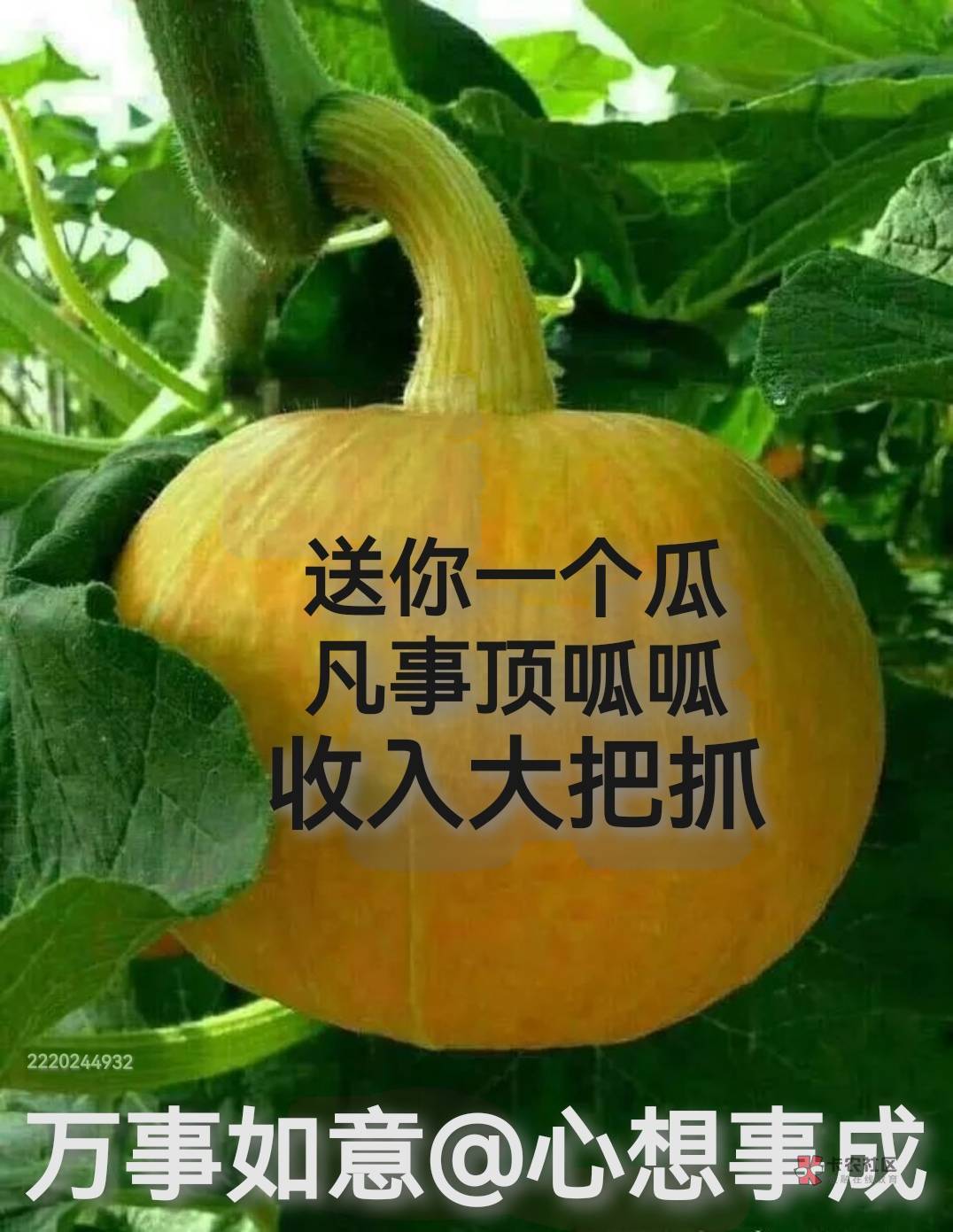 有没有帮T支付宝红包的给2
89 / 作者:降龙十八掌 / 