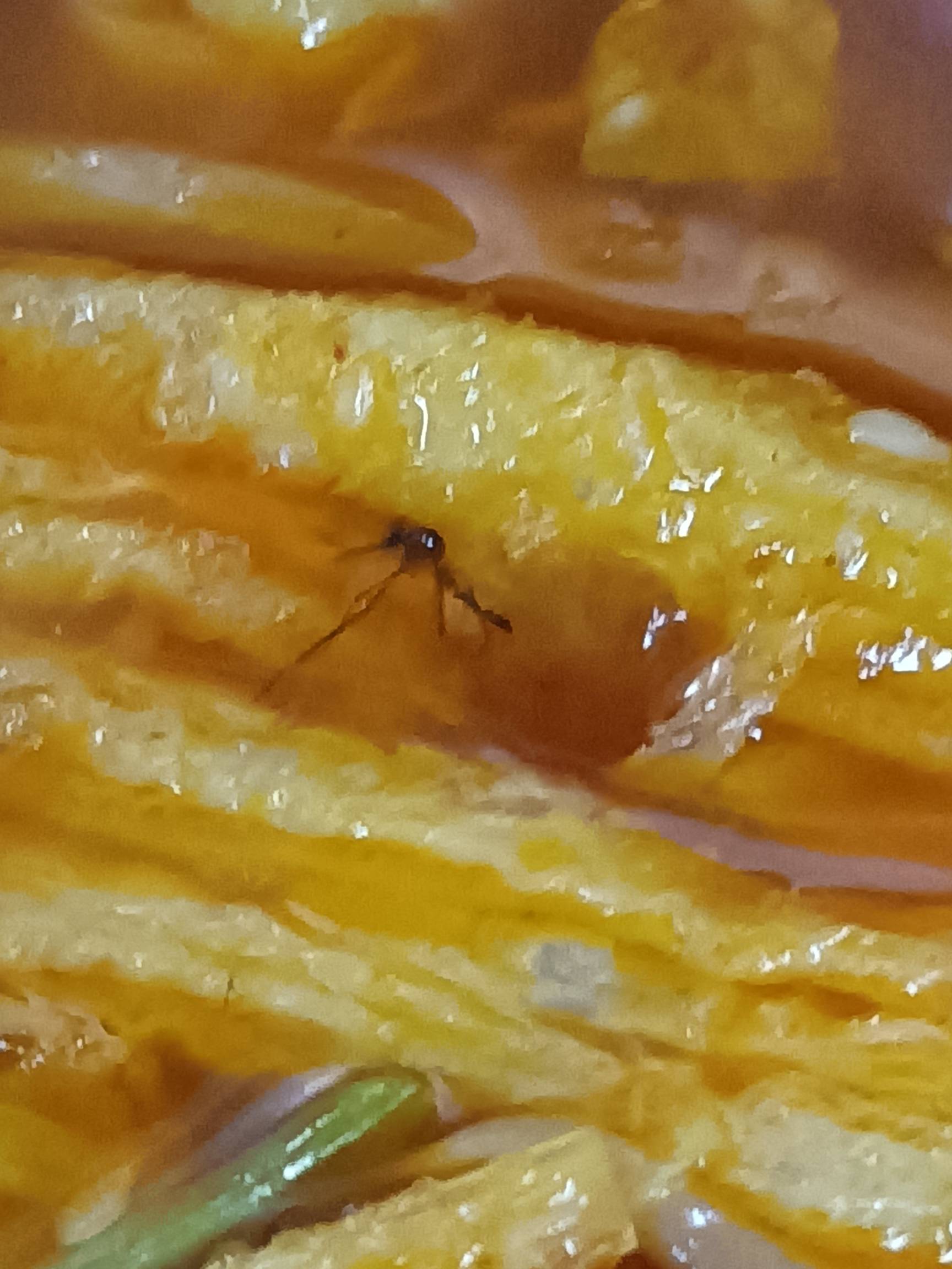 怎么说？老哥们 



19 / 作者:天天开心i / 