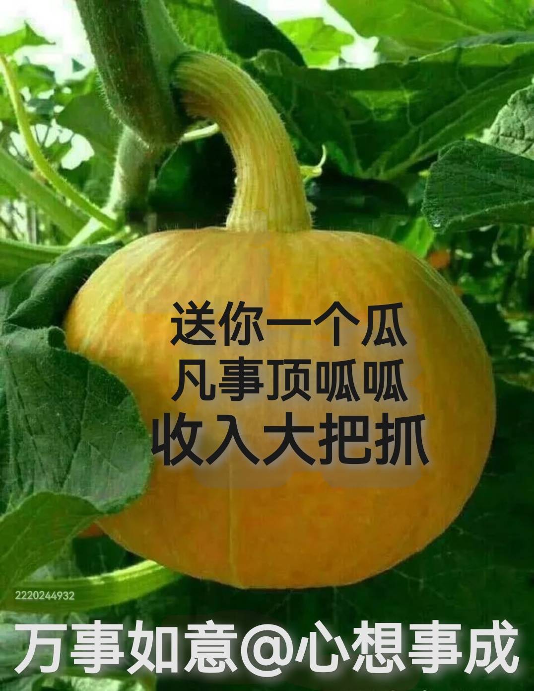 移动话费购的支付宝红包怎么T啊
79 / 作者:王守义13香 / 