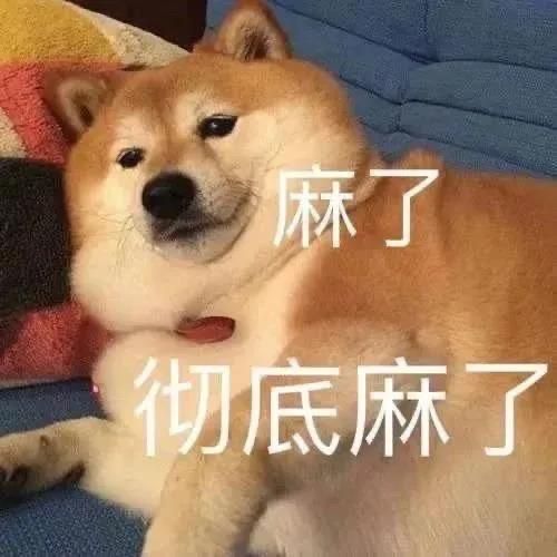 老哥们，昨天干了一晚快递夜班，今天再干一天，弄点生活费之后就考虑该进厂还是去跑外1 / 作者:三春三巳 / 