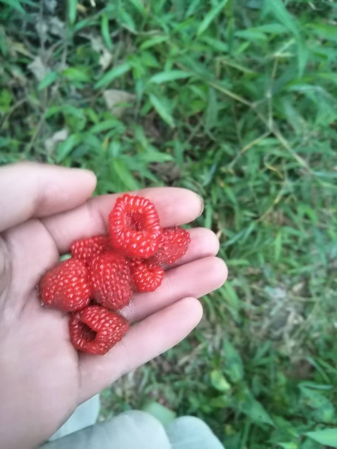 老哥们，我知道问的有点冒昧，现在小白有什么好下款的...38 / 作者:爱晒太阳 / 