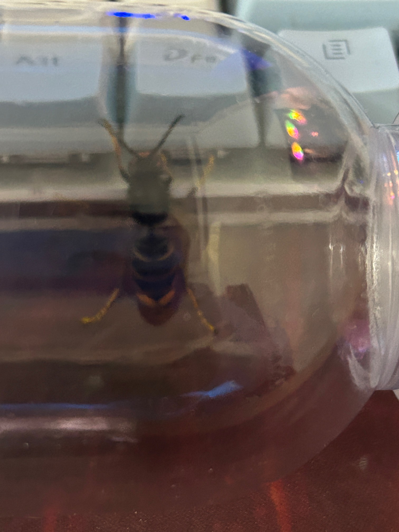 大晚上洗个澡给这玩意干了一下，有点热


7 / 作者:小小卡怪i / 