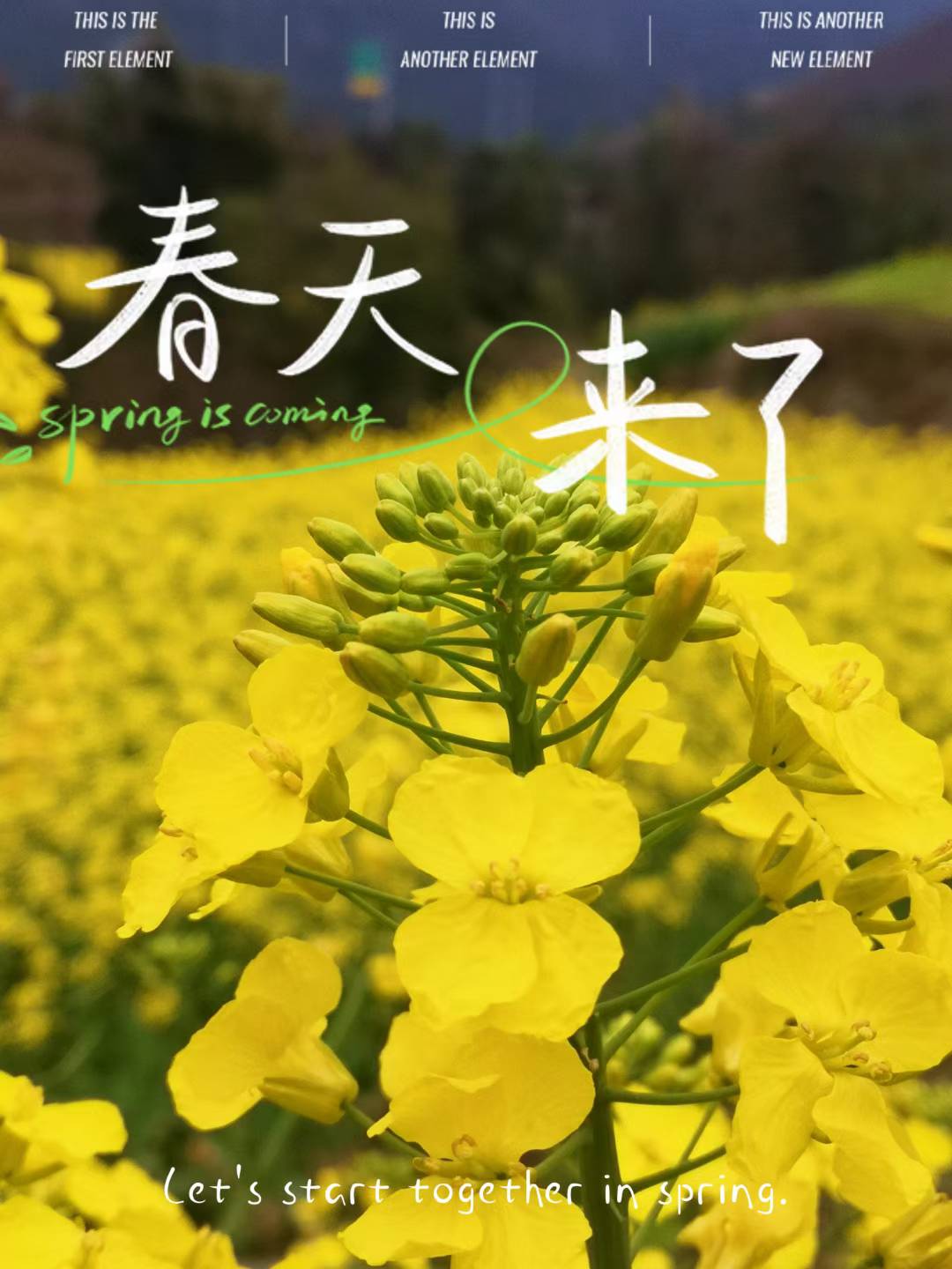 春来 花开 鸟语  花香





25 / 作者:不潇洒的潇洒哥 / 