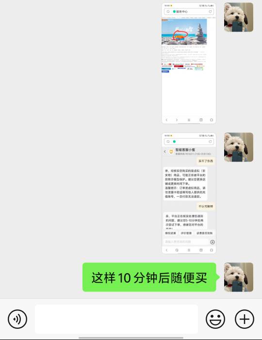 盾参照图二 网页淘宝 右上消费者 对客服是买不了东西 10分钟应该就可以买了 图一只做9 / 作者:没有例外咯 / 