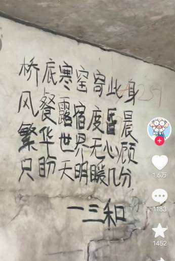桥底寒窑寄此身，风餐露宿度昏晨，繁华世界无心顾，只盼天明暖几分。

28 / 作者:羞答答的玫瑰 / 