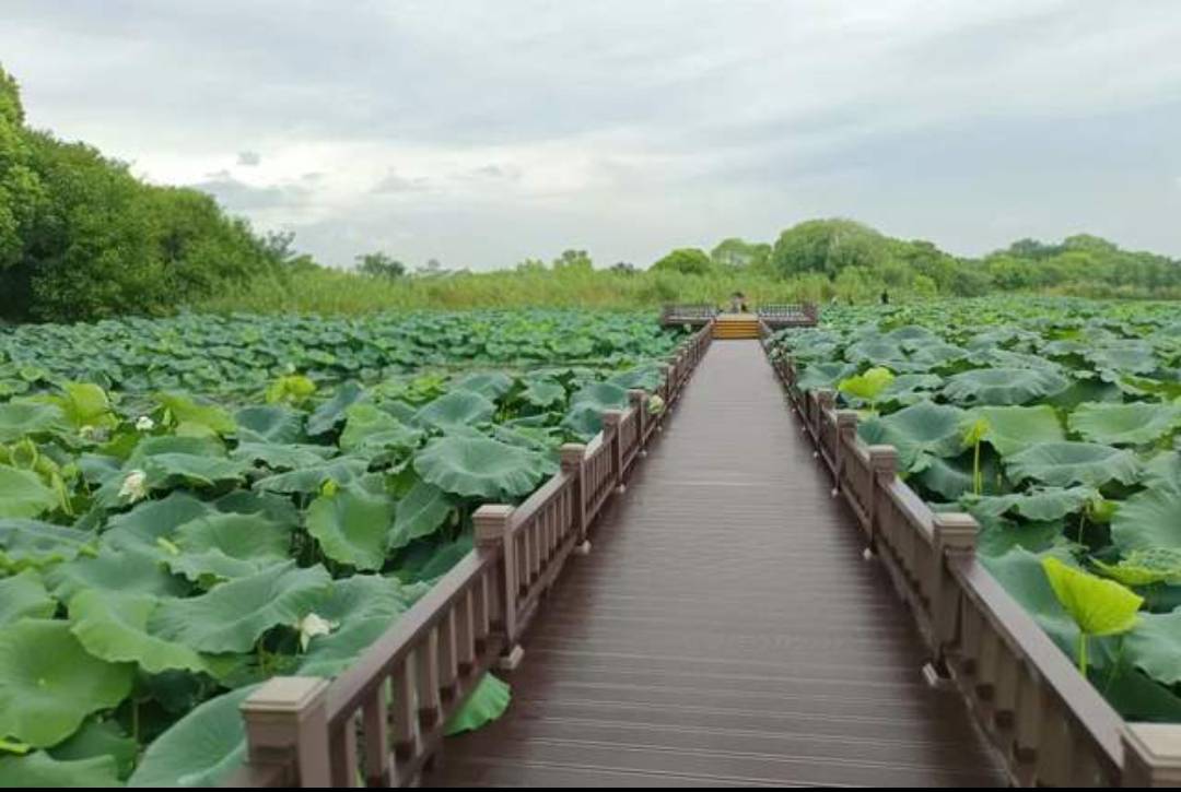 昨晚跟家里视频聊了俩小时，基本把村里这些年没了的人给我说了一遍，那些同龄的人过得95 / 作者:摇摆的苏丹 / 