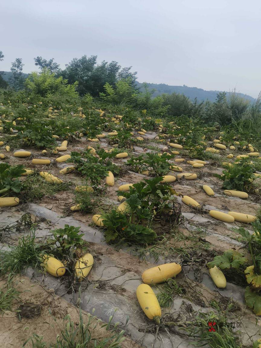 人生不能想去哪就去哪，想买啥买啥！跟咸鱼没区别的人生，浪费时间！哎！钱难搞，没钱74 / 作者:杀死那个挂壁仔 / 