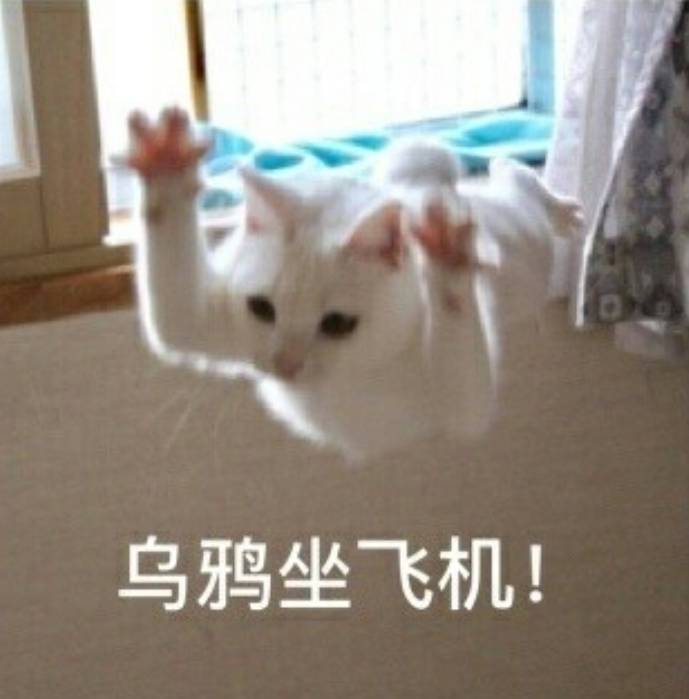 卡侬，都是一群蛀虫。社会的边角料子，从未听说有人能靠申请毛，发财，大把时间去搞点28 / 作者:天空的时候，来 / 