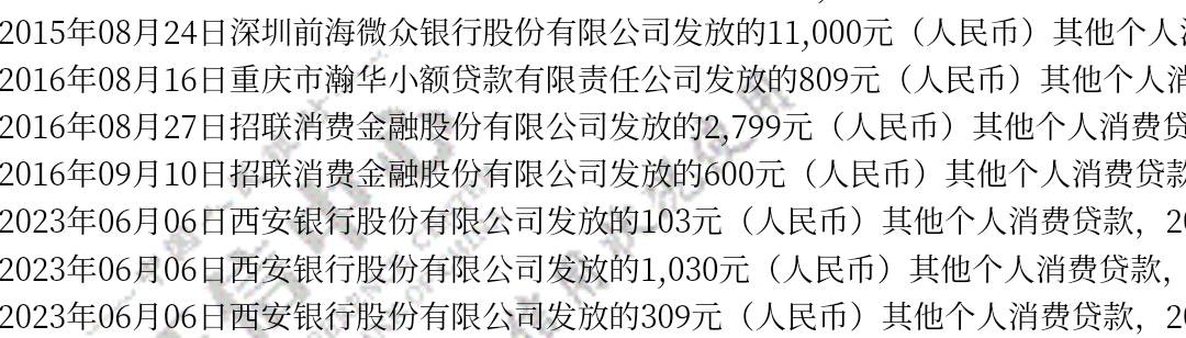 老哥们这个西安银行贷款是哪家啊，怎么没印象呢

54 / 作者:执大象，天下往 / 