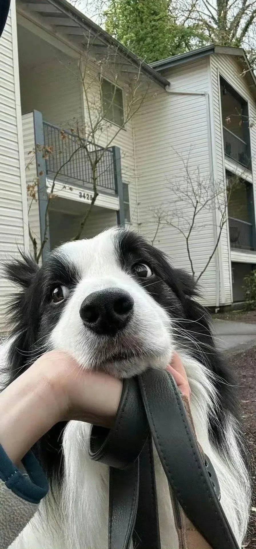 联通卡三年五元月租 140g流量➕500 分钟通话送两年视频会员任选  老哥们了解一下？

54 / 作者:爱吃过期面包 / 
