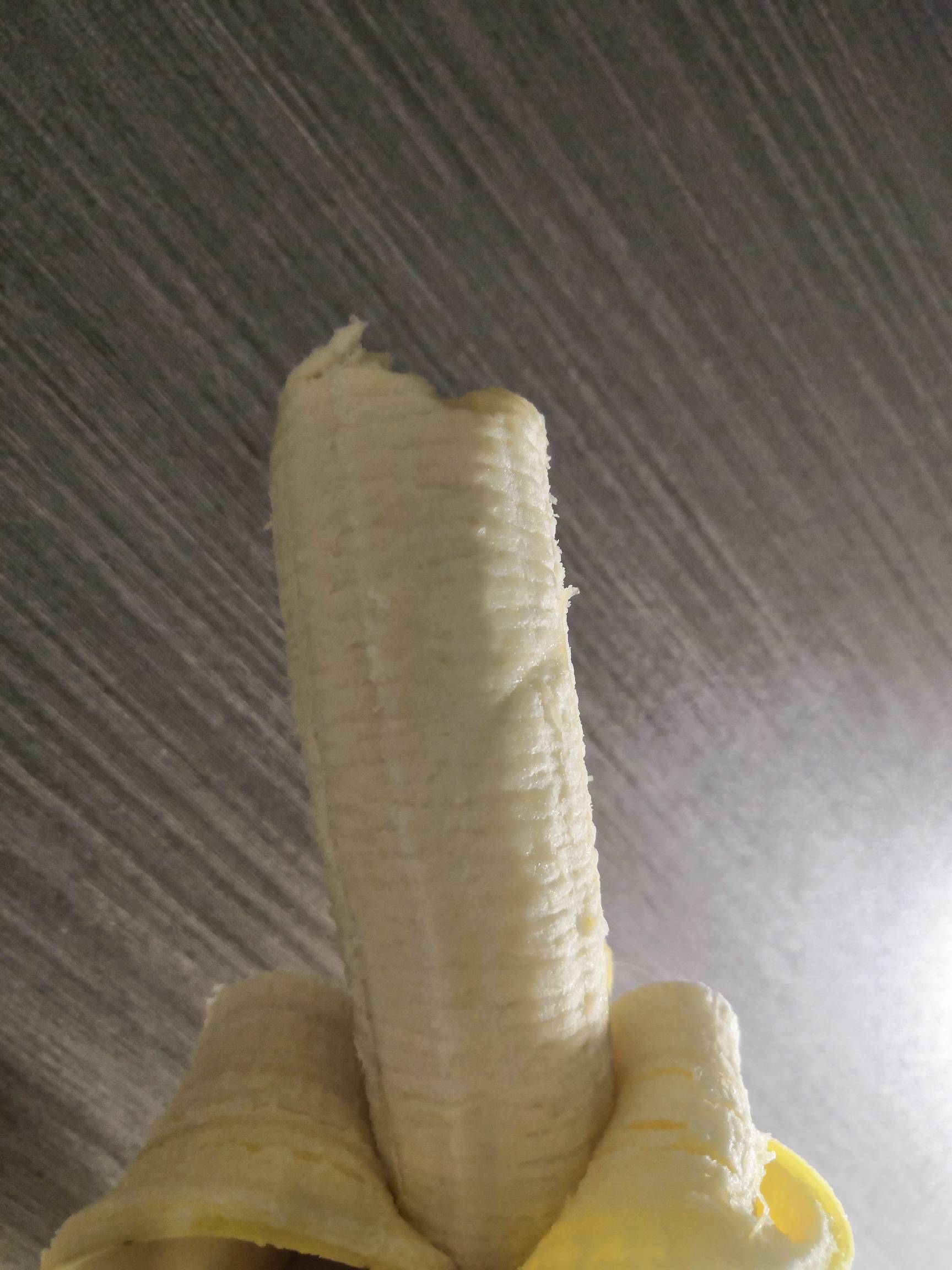 毛也没有，吃一根睡觉了


44 / 作者:二十八星天牛 / 