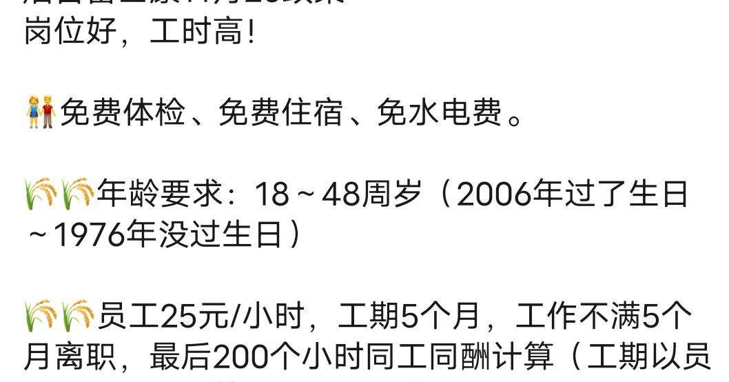 本来想去打工，烟台富士康25一小时还可以，但是看到老哥坚定的眼神，我觉得继续挂壁，62 / 作者:此非为偏安一隅 / 