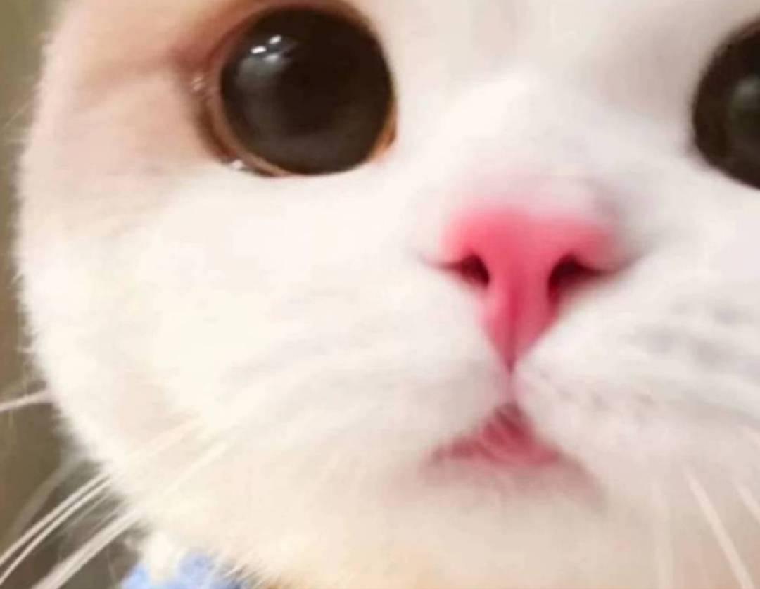 还有人讨论dy？dy换绑应该没有风先那就出换绑的啊。一没有sm二不是绑定你的号马基本对14 / 作者:我的大满 / 