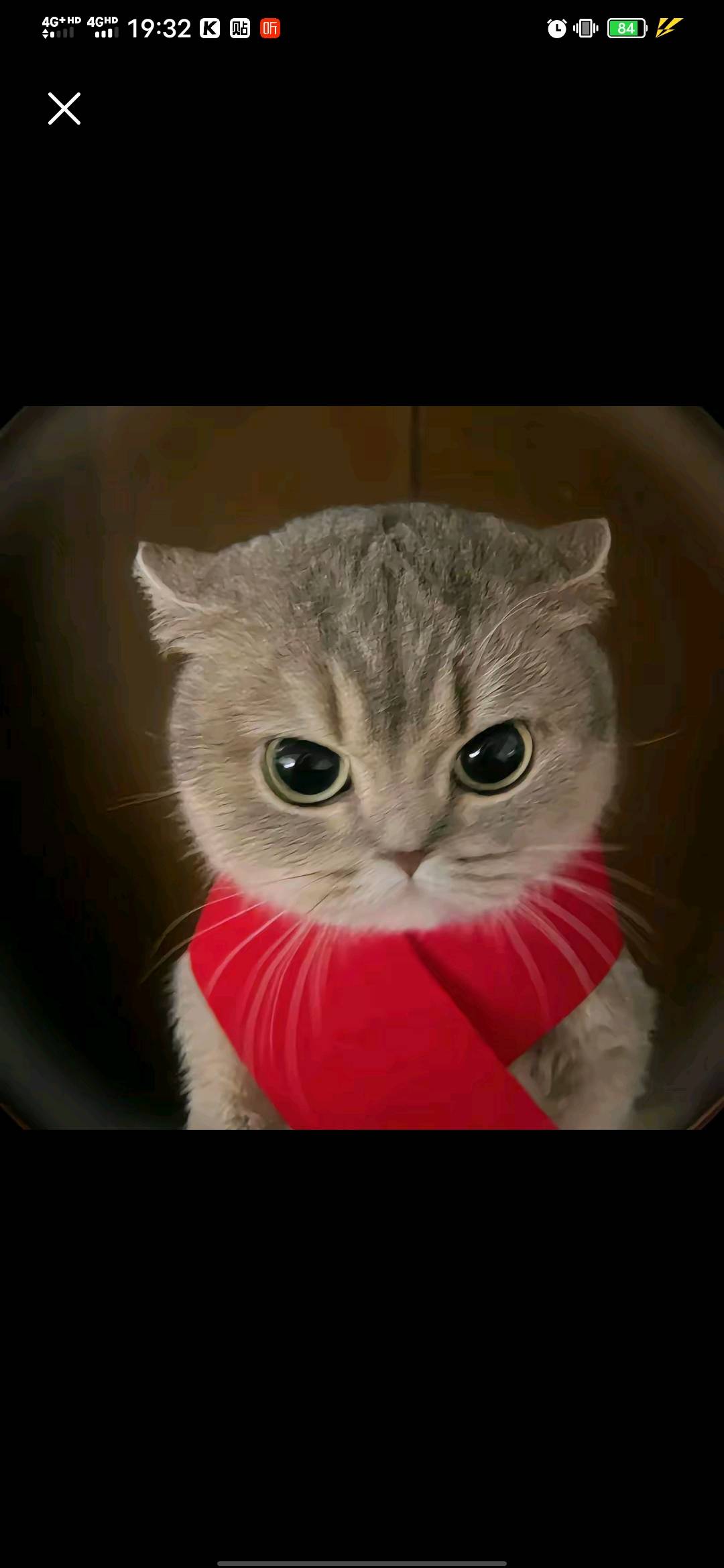 马上无工可打，无毛可薅，下一步怎么办，持续挂壁吗

22 / 作者:东莞躺平老哥 / 