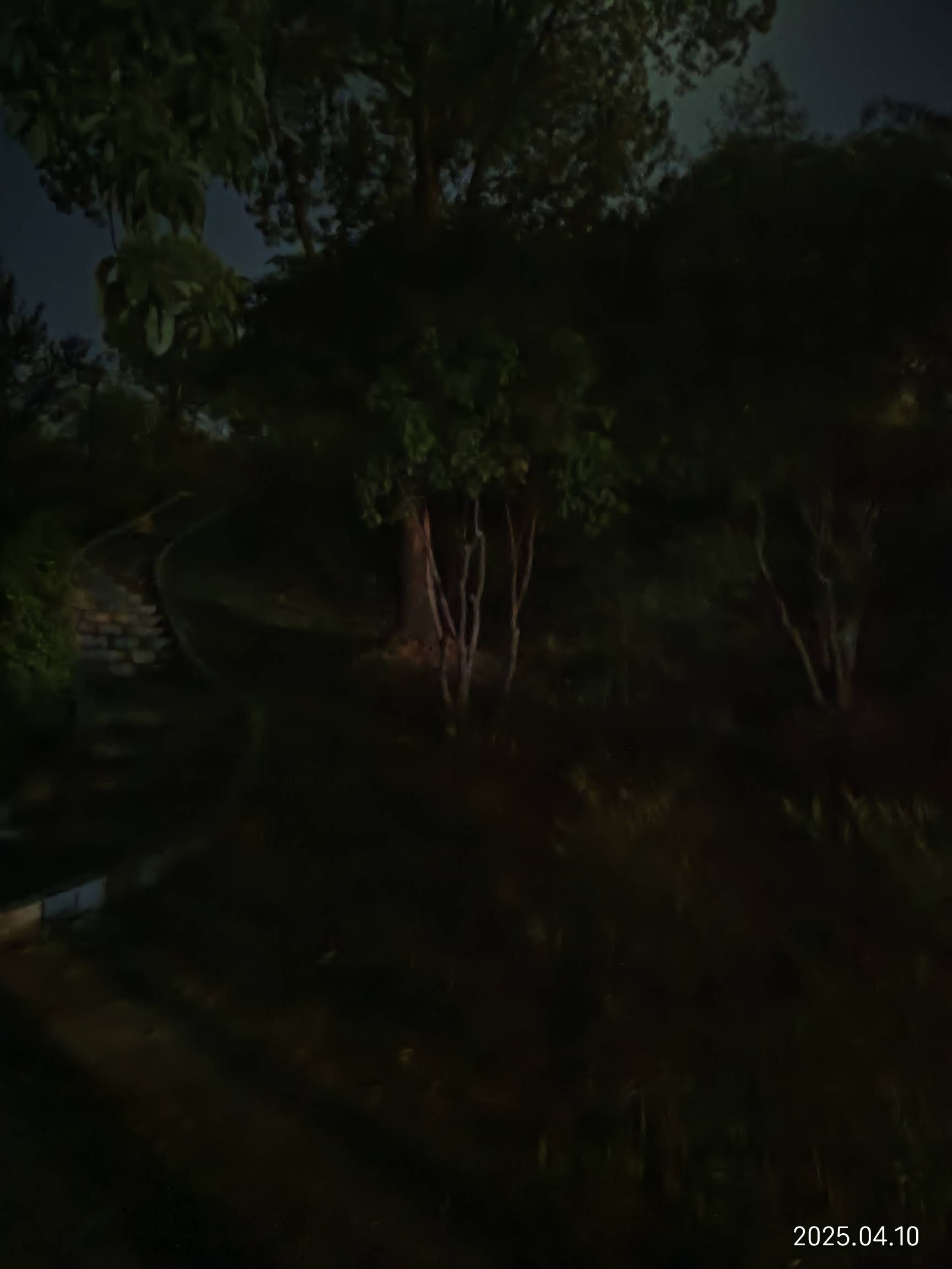 老哥们，真的瘫痪了，瘫痪在公园


67 / 作者:红菜苔 / 